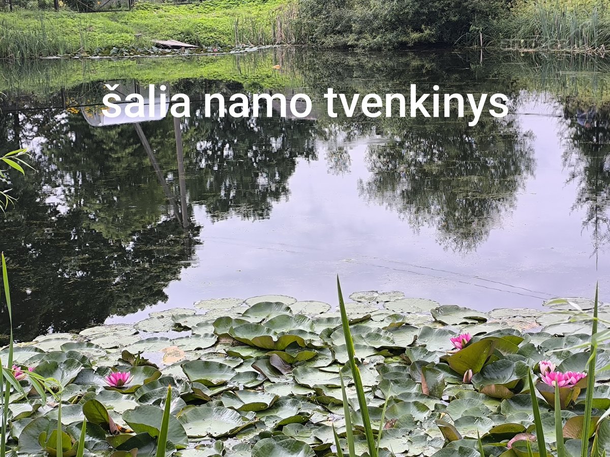 1 aukšte parduodamas erdvus 2 kambarių butas - nuotraukos Nr. 11