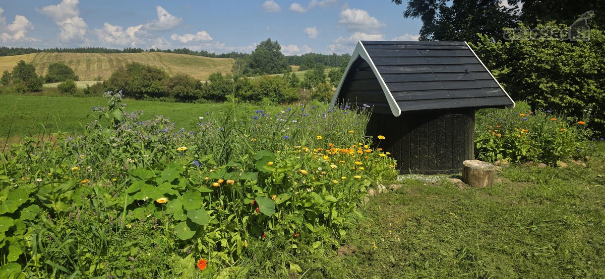 Parduodame miškų apsuptą sodybą Varėnos - nuotraukos Nr. 31