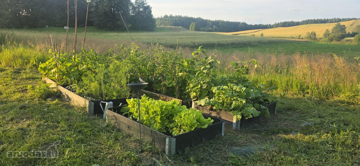 Parduodame miškų apsuptą sodybą Varėnos - nuotraukos Nr. 34