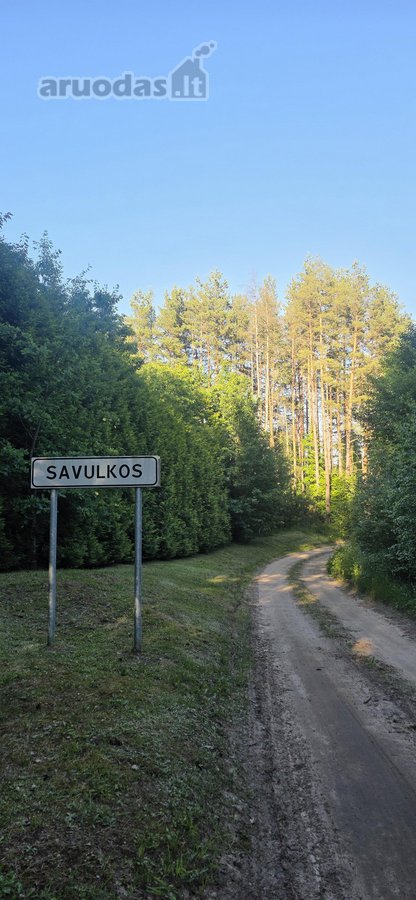 Parduodame miškų apsuptą sodybą Varėnos - nuotraukos Nr. 39