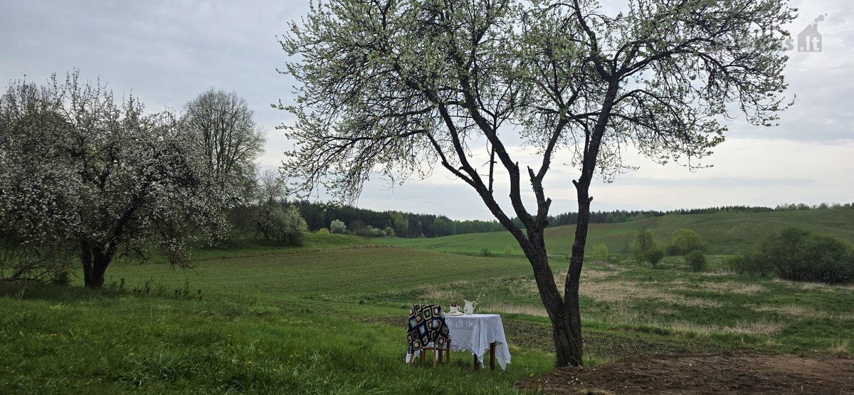 Parduodame miškų apsuptą sodybą Varėnos - nuotraukos Nr. 45