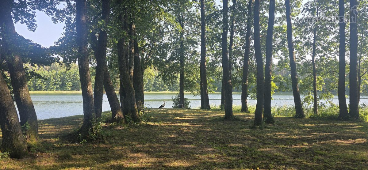Parduodame miškų apsuptą sodybą Varėnos - nuotraukos Nr. 42
