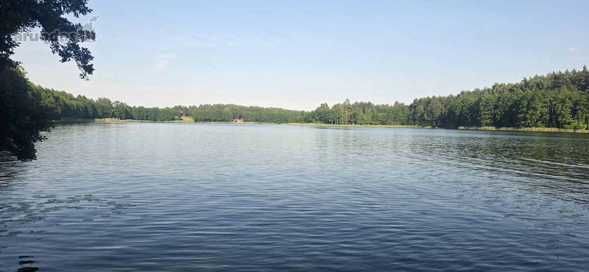 Parduodame miškų apsuptą sodybą Varėnos - nuotraukos Nr. 43
