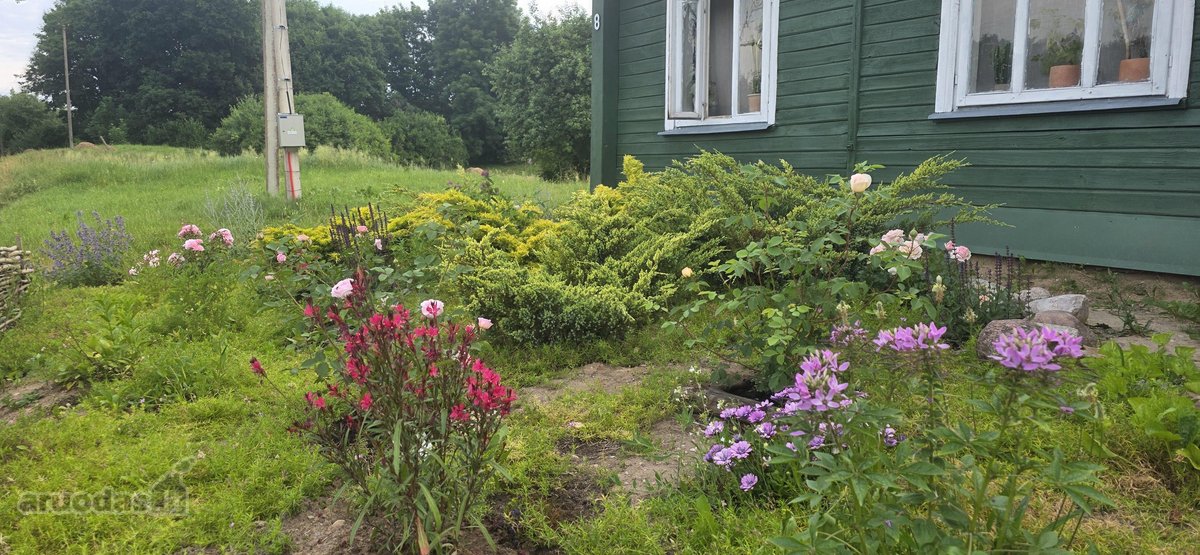 Parduodame miškų apsuptą sodybą Varėnos - nuotraukos Nr. 44