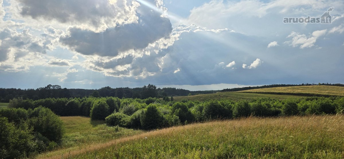 Parduodame miškų apsuptą sodybą Varėnos - nuotraukos Nr. 47