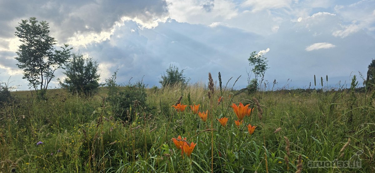 Parduodame miškų apsuptą sodybą Varėnos - nuotraukos Nr. 48