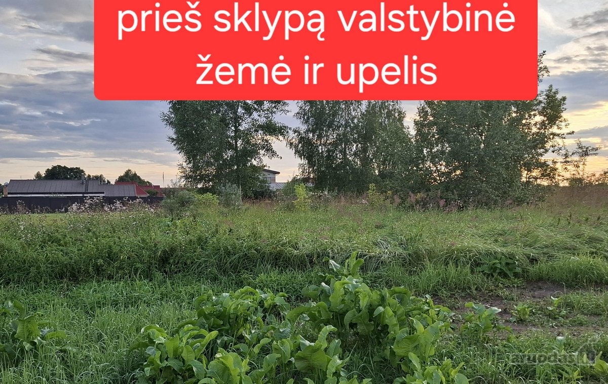 Parduodamas 10 arų sklypas ramioje vietoje, - nuotraukos Nr. 4