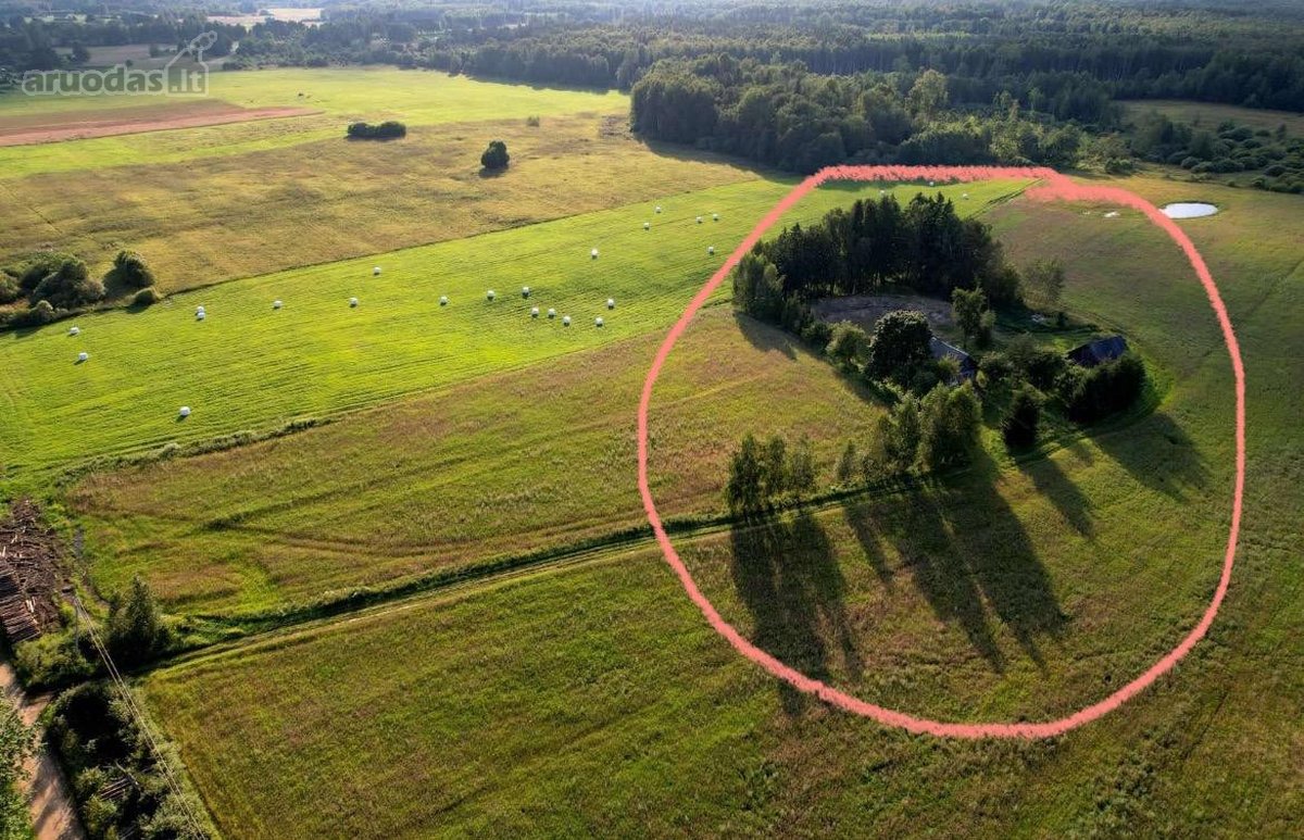 Kartais gyvenime atsiranda vietų, kuriose - nuotraukos Nr. 12