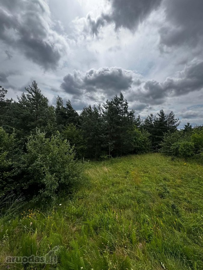 Parduodame 30 a sklypą labai gražioje vietoje - nuotraukos Nr. 2