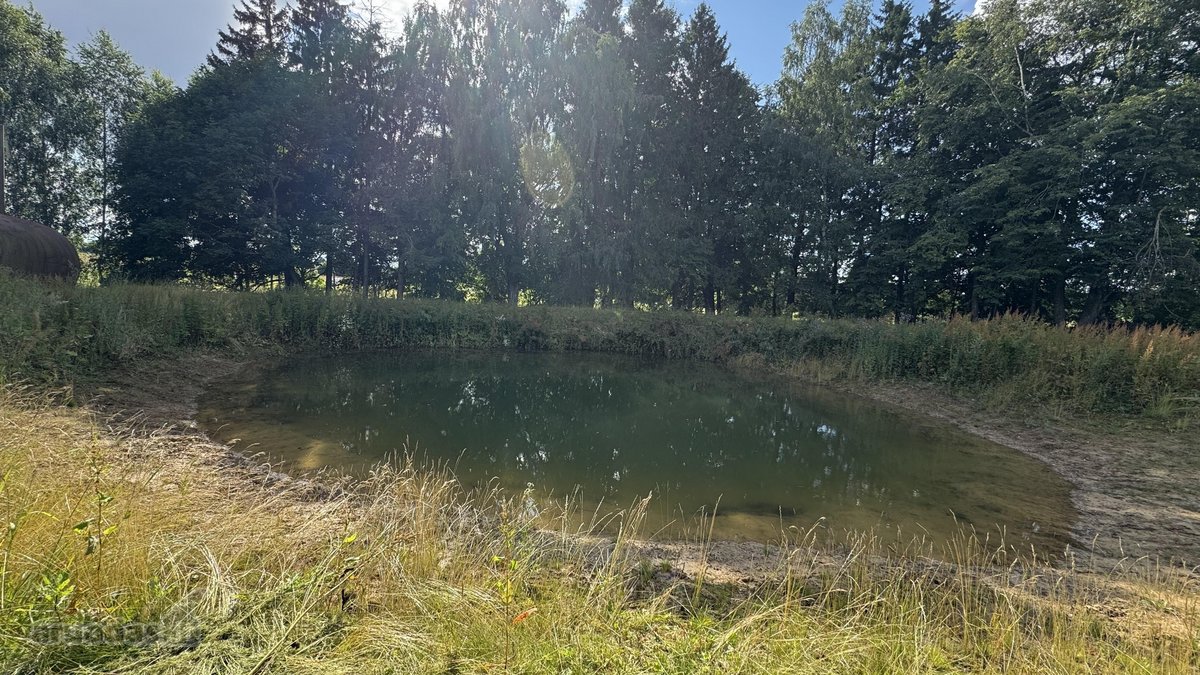 Kartais gyvenime atsiranda vietų, kuriose - nuotraukos Nr. 18