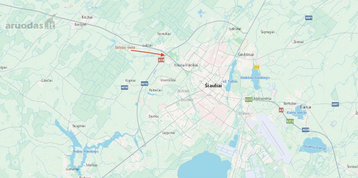 Rinkoje retai pasitaikantis tokio dydžio - nuotraukos Nr. 3