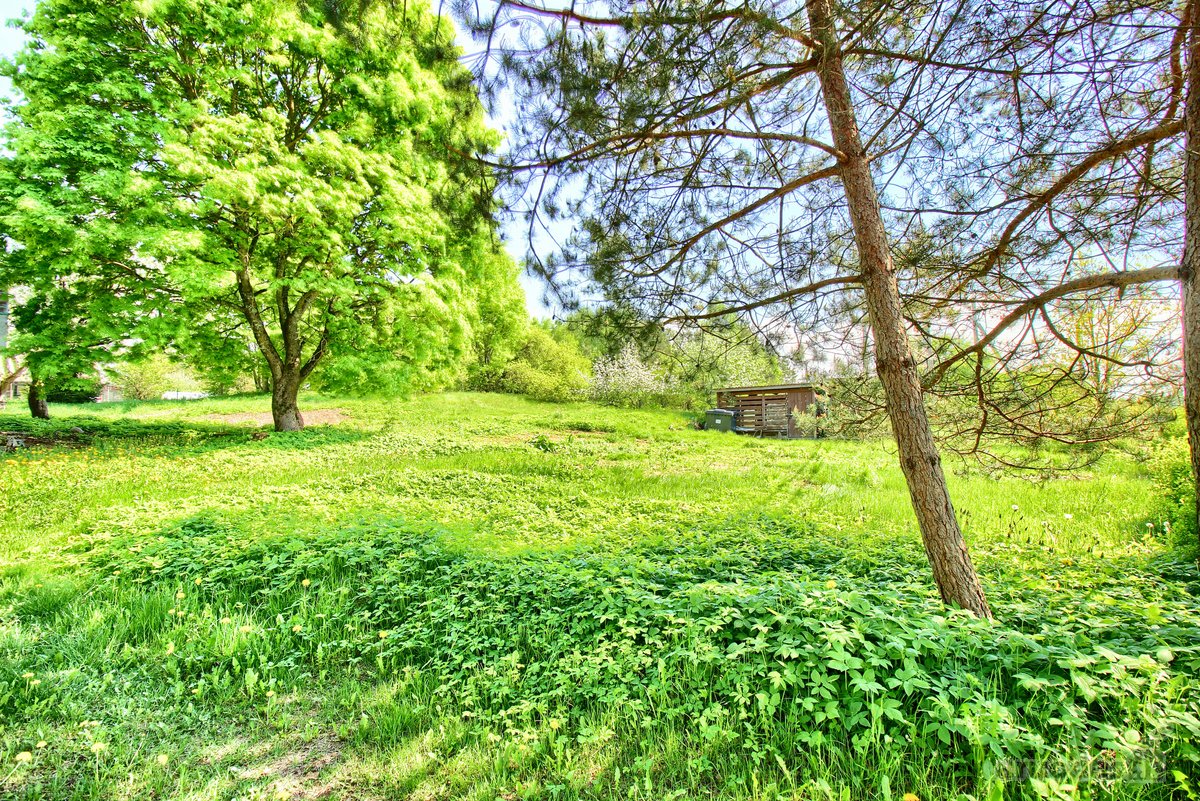 Erdvus sklypas Vilniaus mieste – retas ir - nuotraukos Nr. 7