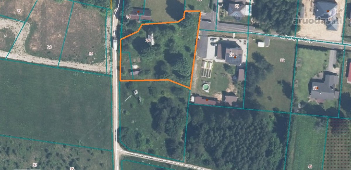 Erdvus sklypas Vilniaus mieste – retas ir - nuotraukos Nr. 10