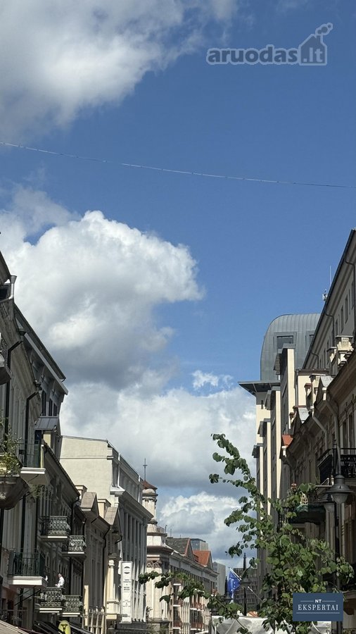 Išnuomojamas išskirtinis butas prestižinėje - nuotraukos Nr. 5