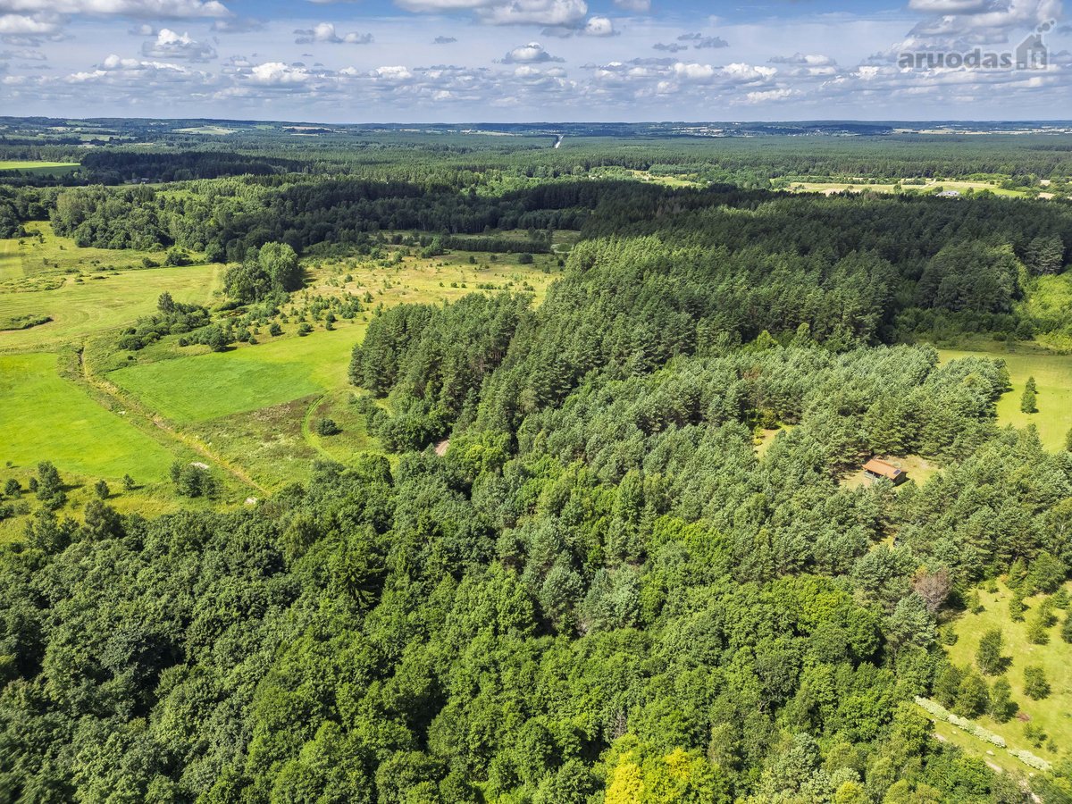 Parduodama jauki sodyba ramioje vietoje, vos - nuotraukos Nr. 35