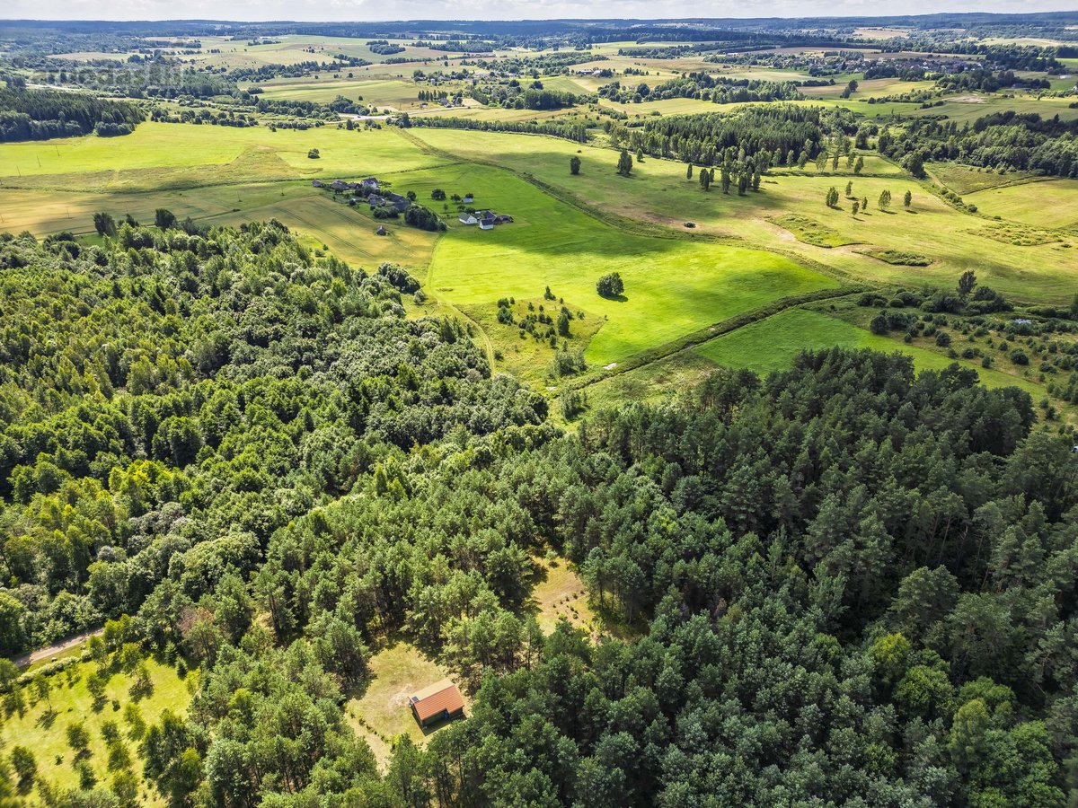 Parduodama jauki sodyba ramioje vietoje, vos - nuotraukos Nr. 37