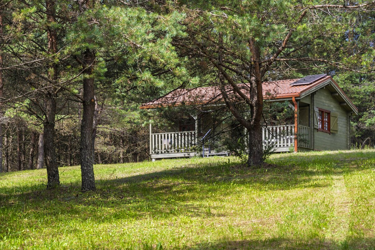 Parduodama jauki sodyba ramioje vietoje, vos - nuotraukos Nr. 23