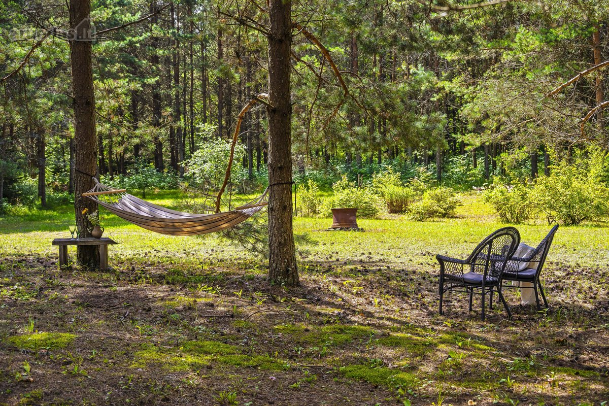 Parduodama jauki sodyba ramioje vietoje, vos - nuotraukos Nr. 25