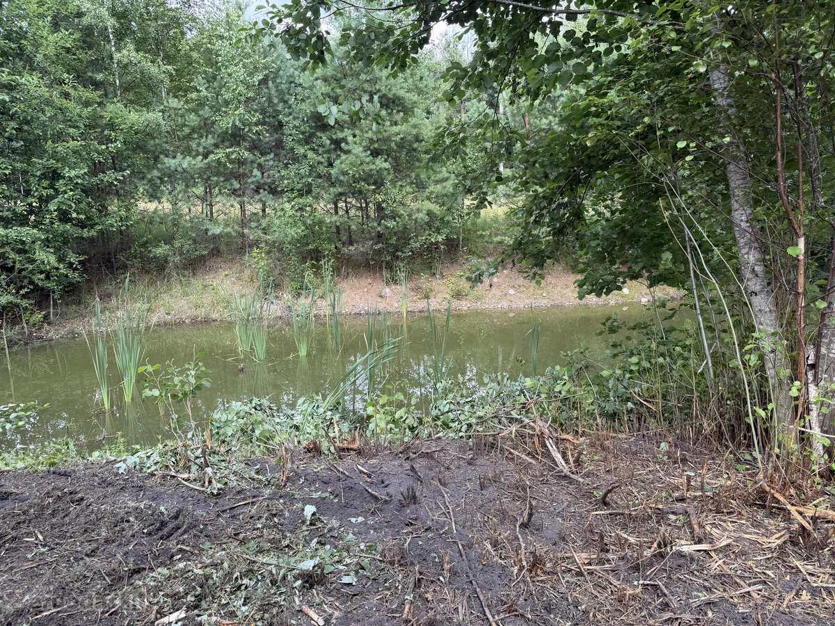 Parduodama sodyba su didele žeme, mišku ir - nuotraukos Nr. 8