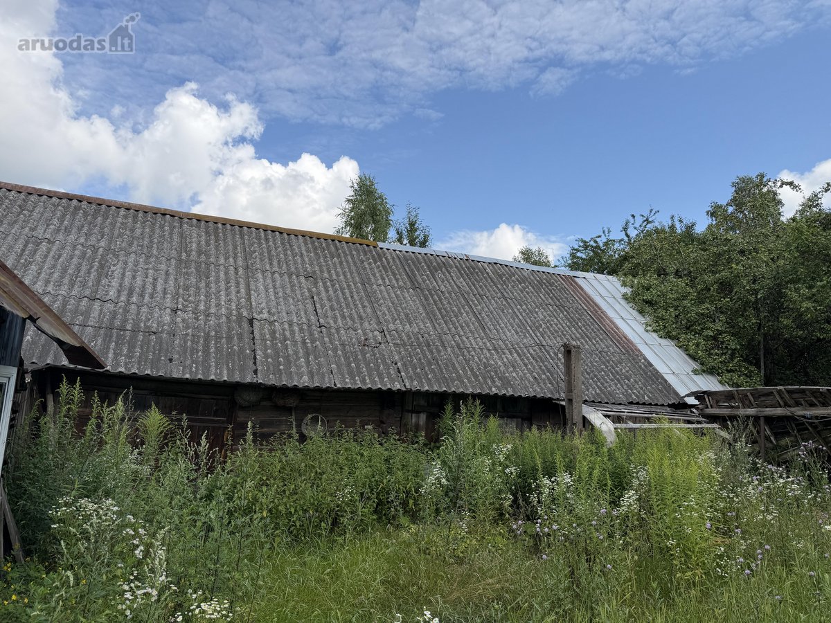 Parduodama sodyba su didele žeme, mišku ir - nuotraukos Nr. 14