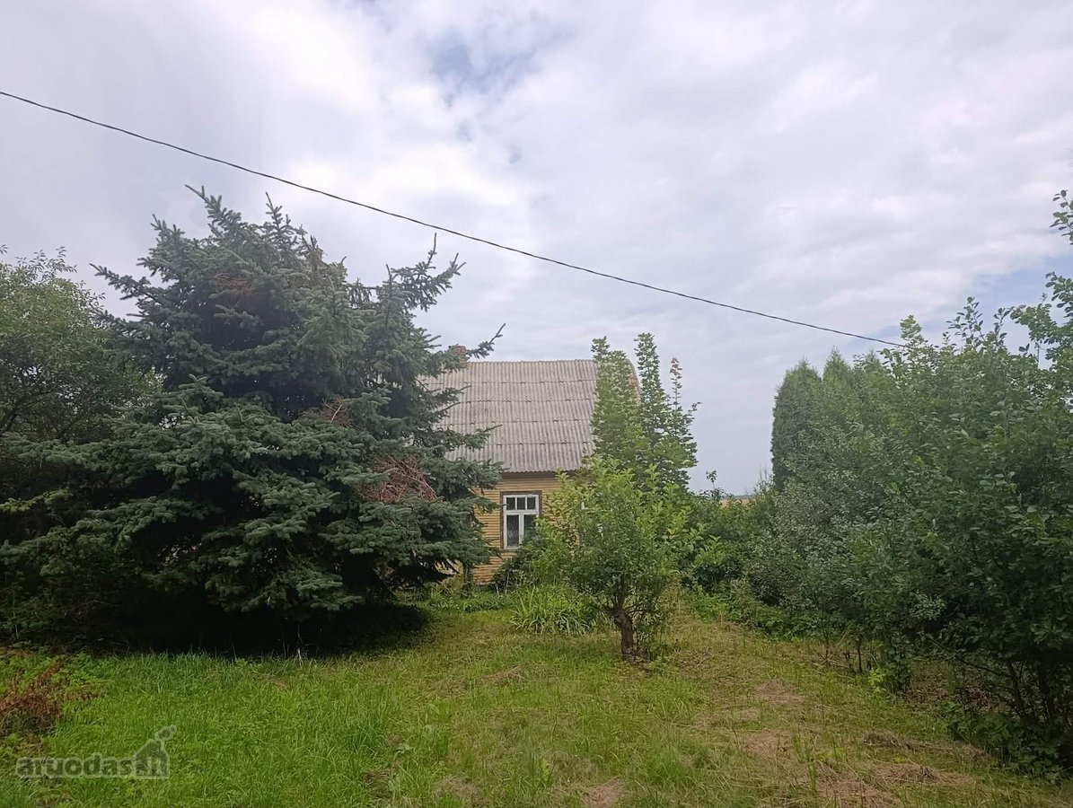 Parduodama sodyba Žilpamūšio kaime Pasvalio - nuotraukos Nr. 8