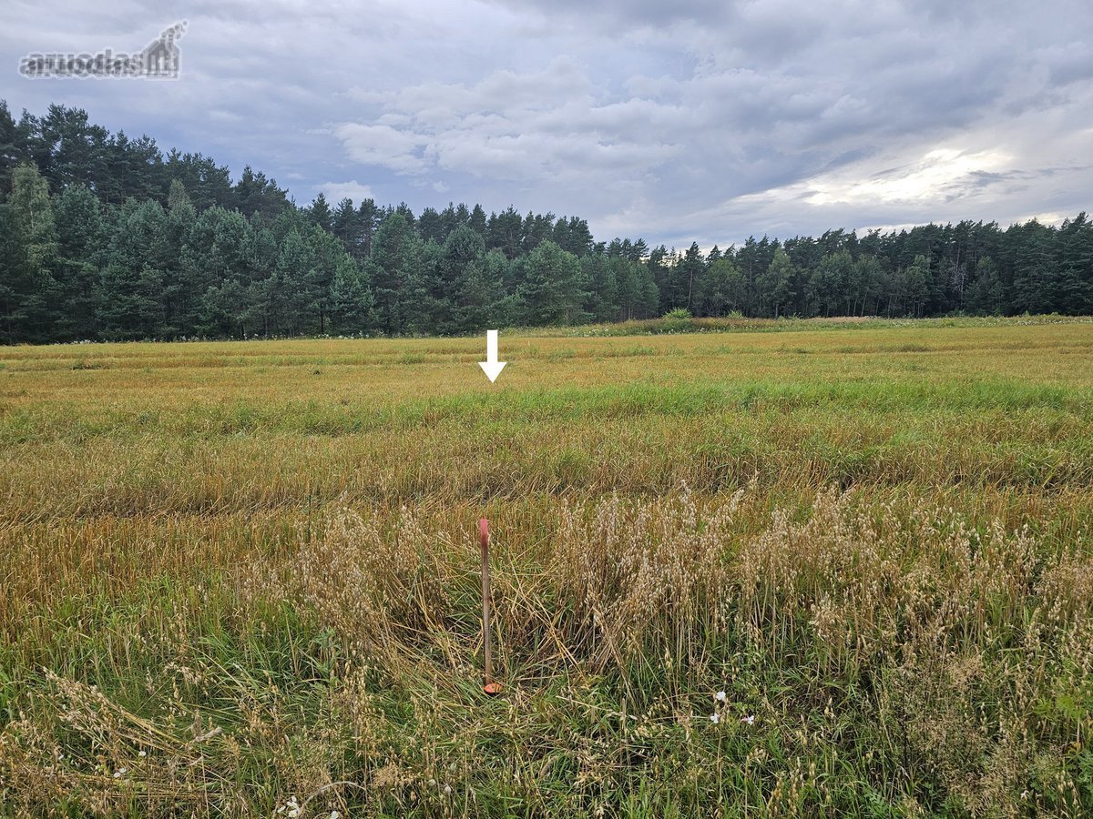 Parduodami 16 vnt. namų valdos žemės sklypai - nuotraukos Nr. 16