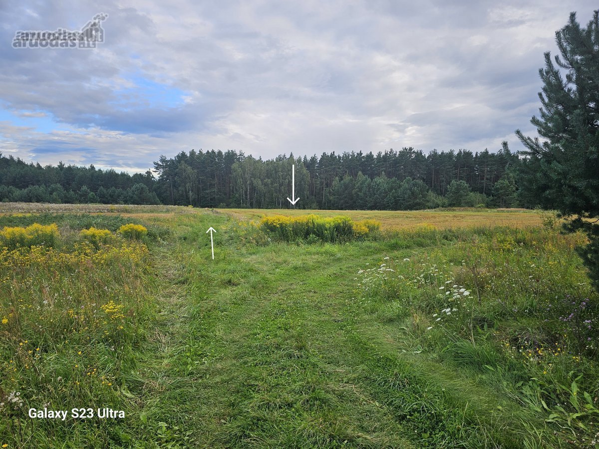 Parduodami 16 vnt. namų valdos žemės sklypai - nuotraukos Nr. 15
