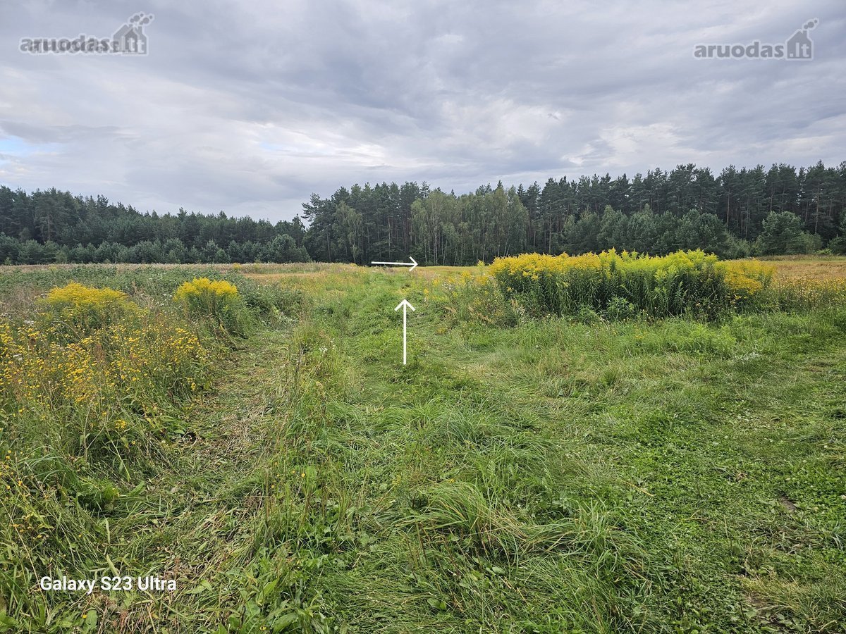 Parduodami 16 vnt. namų valdos žemės sklypai - nuotraukos Nr. 14