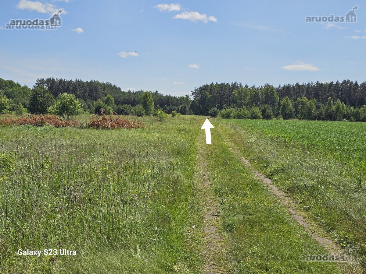 Parduodami 16 vnt. namų valdos žemės sklypai - nuotraukos Nr. 12