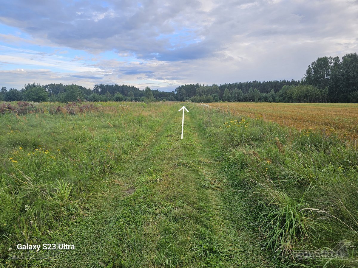 Parduodami 16 vnt. namų valdos žemės sklypai - nuotraukos Nr. 13