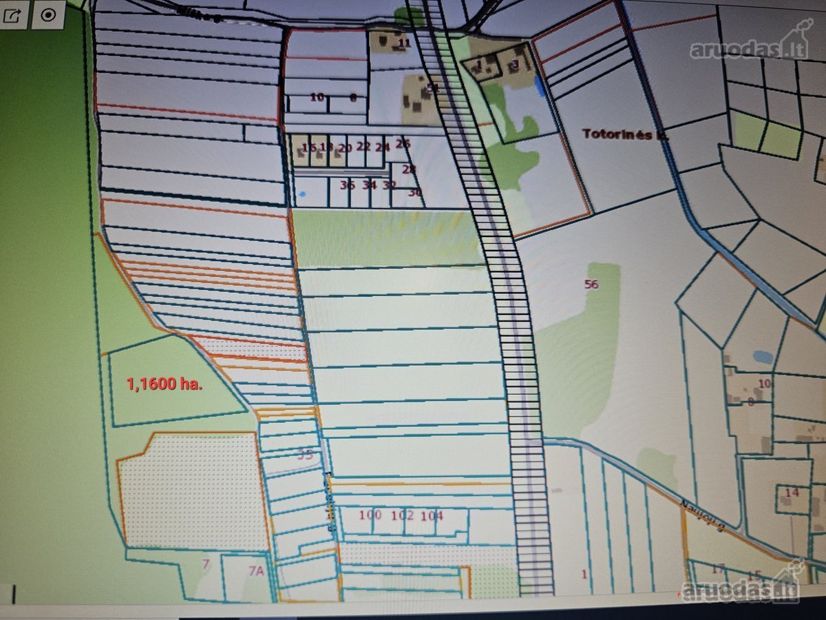 Parduodamas 116 arų miškas Vilniaus raj., - nuotraukos Nr. 2