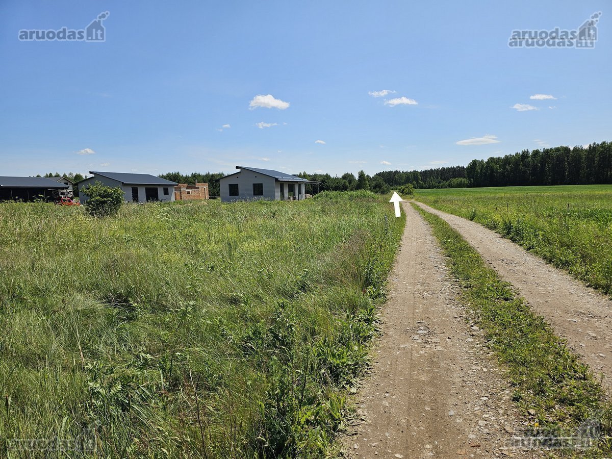 Parduodamas 116 arų miškas Vilniaus raj., - nuotraukos Nr. 8