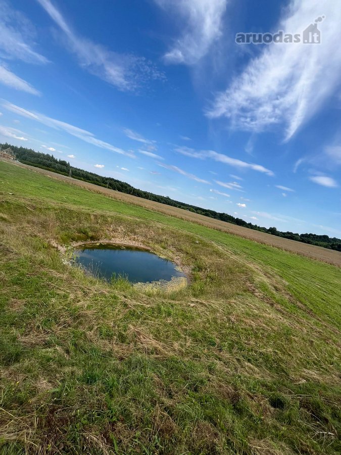 Išskirtinė 3,05 ha sodyba Neries slėnyje  - nuotraukos Nr. 22