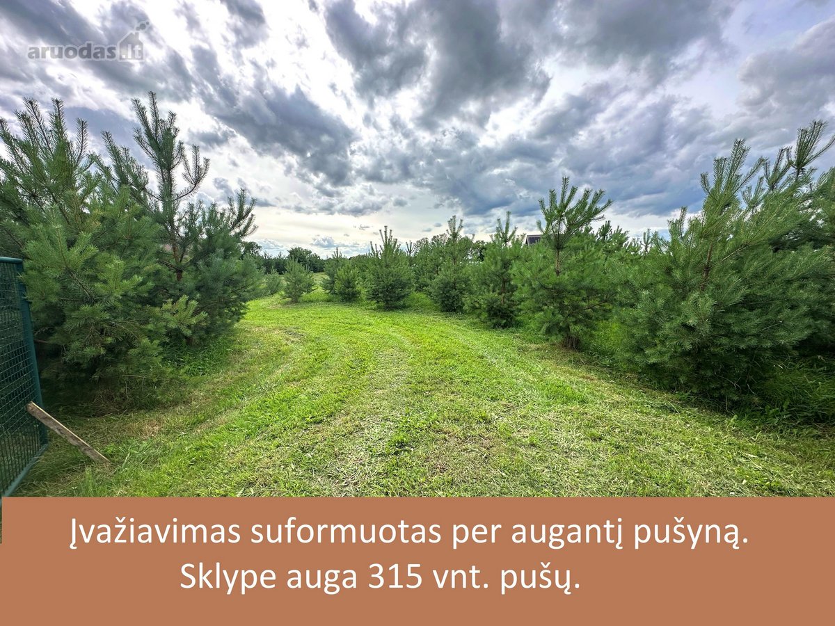 Nuostabi vieta gyventi. - nuotraukos Nr. 6