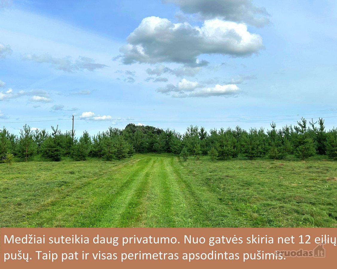 Nuostabi vieta gyventi. - nuotraukos Nr. 8