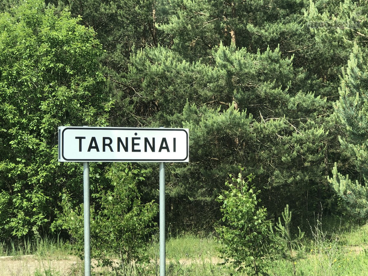 Parduodami 2 žemės ūkio paskirties sklypai - nuotraukos Nr. 9