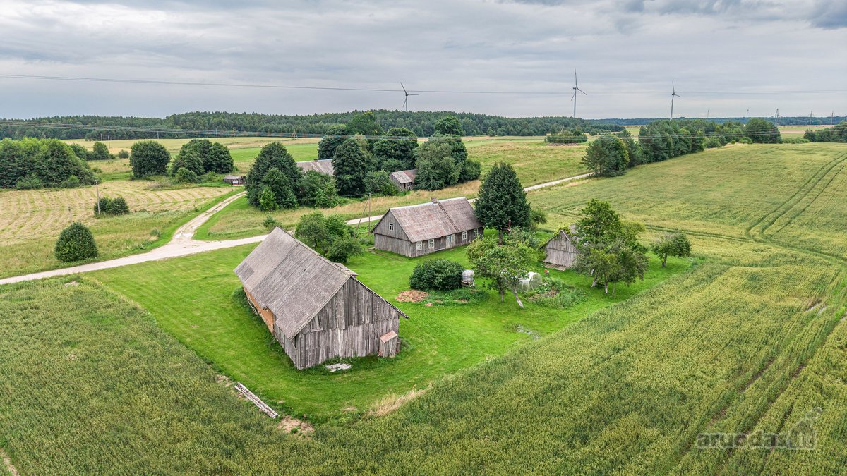 Parduodama autentiška vienkiemio tipo sodyba - nuotraukos Nr. 2
