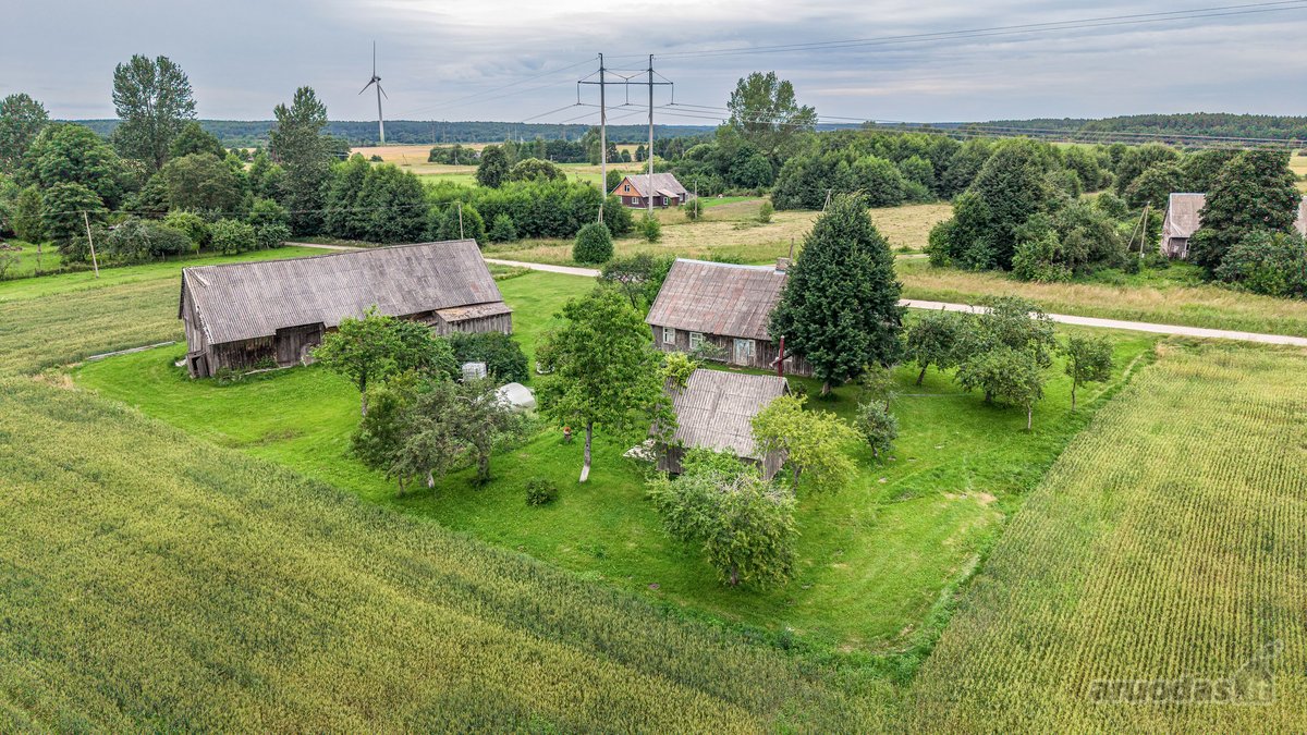 Parduodama autentiška vienkiemio tipo sodyba - nuotraukos Nr. 7