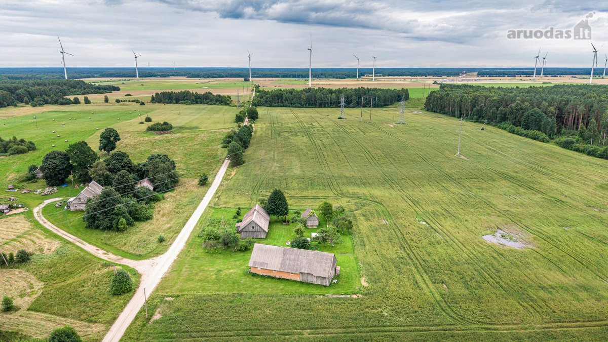 Parduodama autentiška vienkiemio tipo sodyba - nuotraukos Nr. 10