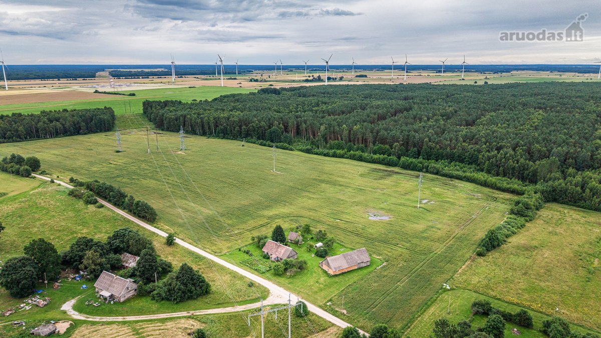 Parduodama autentiška vienkiemio tipo sodyba - nuotraukos Nr. 17