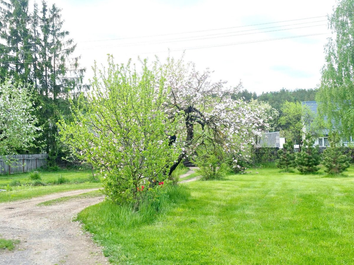 Namas Su Dideliu Žemės Sklypu Prie Pat Molėtų - nuotraukos Nr. 12