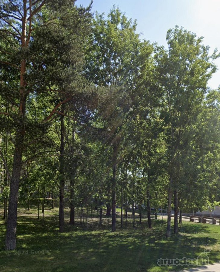 Be tarpininku išnuomojamas 3 kambarių butas - nuotraukos Nr. 32