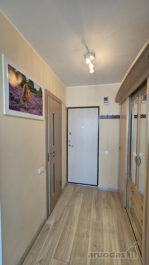 Parduodamas švarus, tvarkingas 1-kambario - nuotraukos Nr. 17