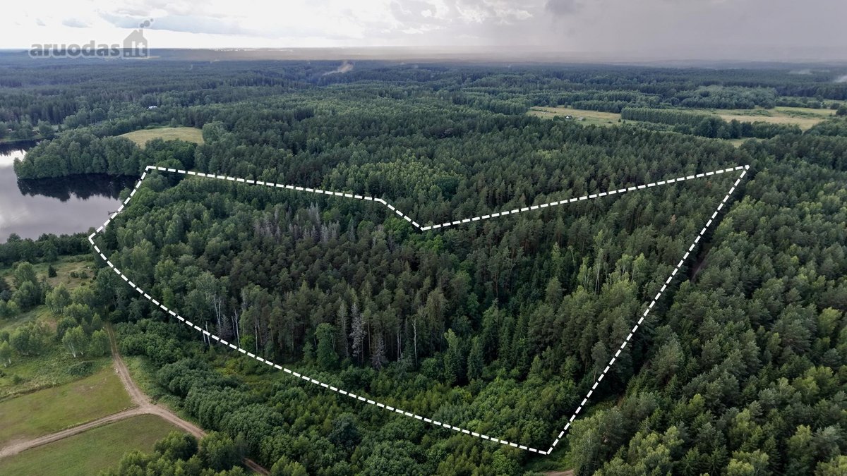 Parduodamas išskirtinis, net 8,4 hektarų - nuotraukos Nr. 3