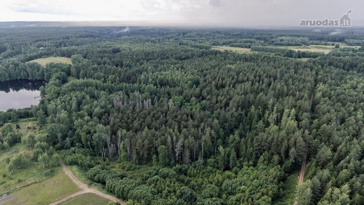 Parduodamas išskirtinis, net 8,4 hektarų - nuotraukos Nr. 8