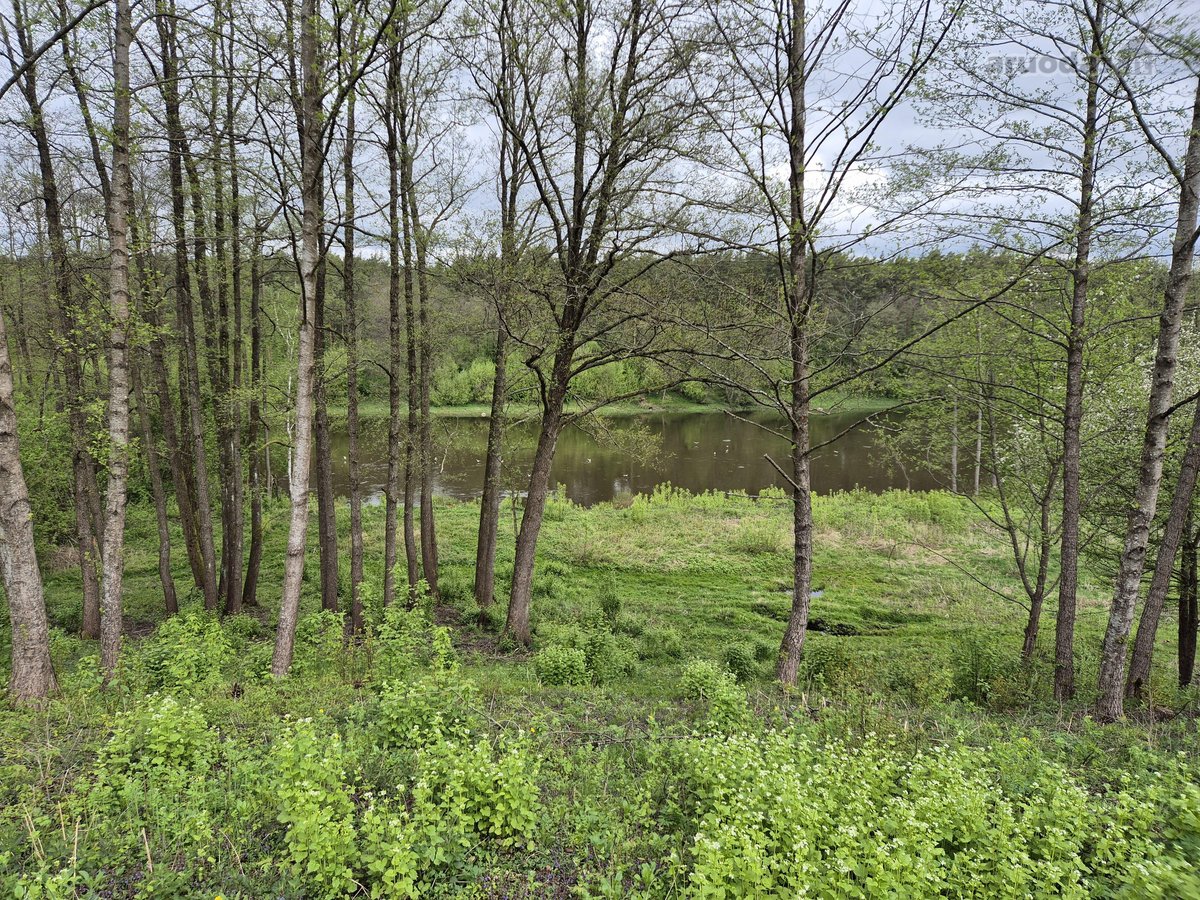 Parduodami du žemės sklypai 0.7096 ha ir 0.34 ha - nuotraukos Nr. 6