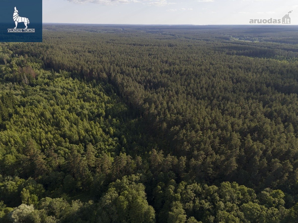 Išskirtinė Sodyba Brandžių Medžių Ir Ežerų - nuotraukos Nr. 26