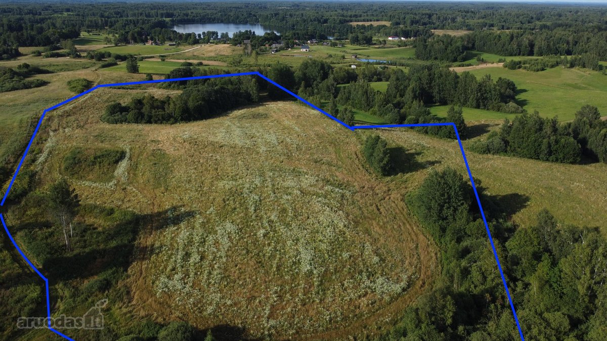 Parduodamas 5 ha Žemės Ūkio Paskirties - nuotraukos Nr. 14