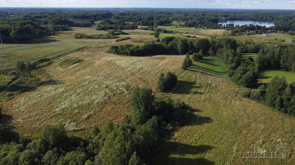 Parduodamas 5 ha Žemės Ūkio Paskirties - nuotraukos Nr. 16