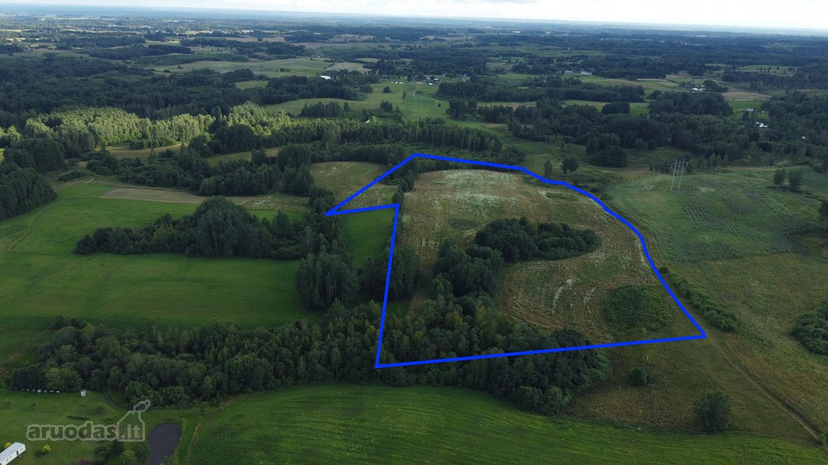 Parduodamas 5 ha Žemės Ūkio Paskirties - nuotraukos Nr. 11